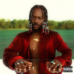 Adekunle Gold ft. Tekno – Firewood MP3 Download