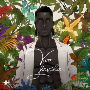 Joeboy – Viva Lavida (Album) MP3 Download