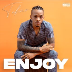Tekno – Enjoy MP3 Download