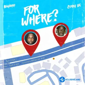 Bayanni – For Where ft. Zerrydl MP3 Download