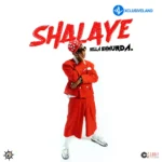 Shalaye