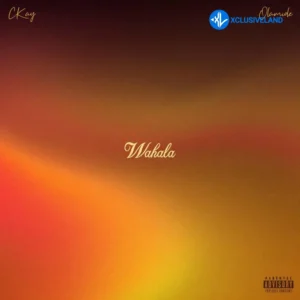 CKay – Wahala ft. Olamide MP3 Download
