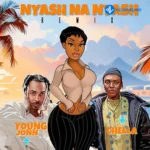 Nyash na Nyash (Remix)
