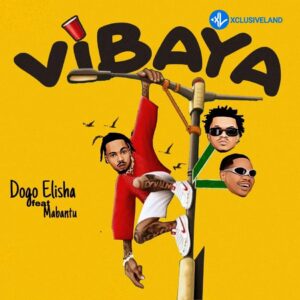 Dogo Elisha – Vibaya Ft. Mabantu MP3 Download