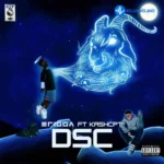 DSC
