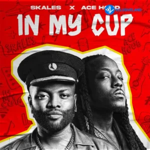 Skales – Hood In My Cup ft. Ace MP3 Download