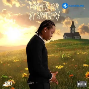 Soft – PFMB (SUCCESS) MP3 Download