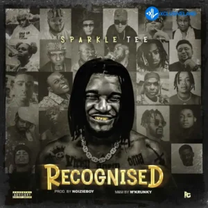 Sparkle Tee – Recognized MP3 Download