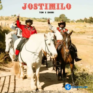 Teni – Jostimilo ft. Skiibii MP3 Download