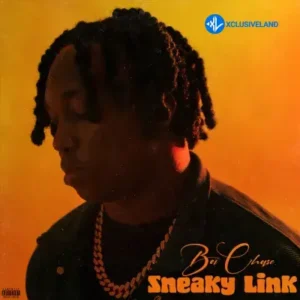 Sneaky Link MP3 Download