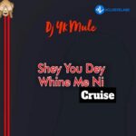 Shey You Dey Whine Ni (Cruise)