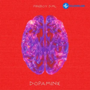 Fireboy DML