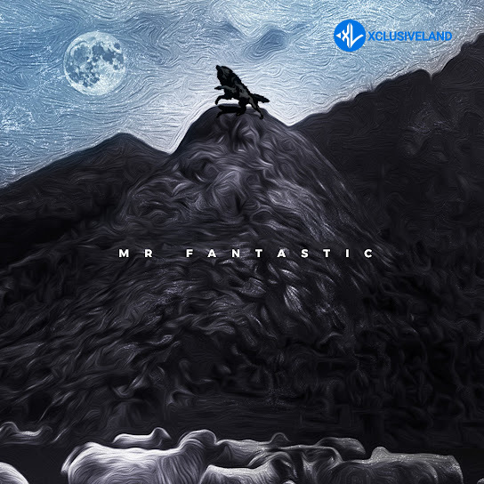 M.I. Abaga – Mr. Fantastic Cover Art