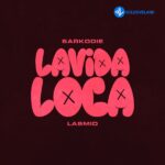 Lavida Loca