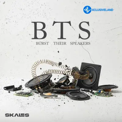 Skales – B.T.S (Burst Their Speakers) Cover Art