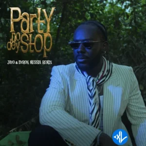 Party No Dey Stop (Remix) MP3 Download