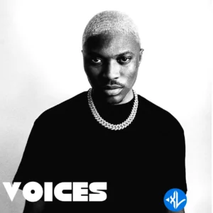 Diamond Jimma – Voices MP3 Download