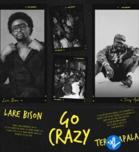 Lare Bison – Go Crazy Ft. Terry Apala MP3 Download