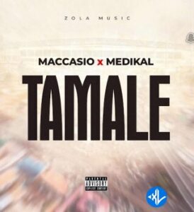 Maccasio