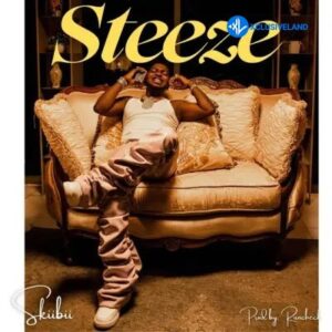 Skiibii – Steeze MP3 Download