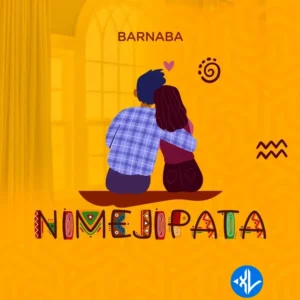 Barnaba – Nimejipata MP3 Download