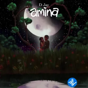 D Jay – Amina MP3 Download