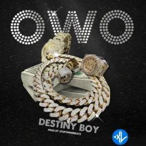 Destiny Boy – OWO MP3 Download