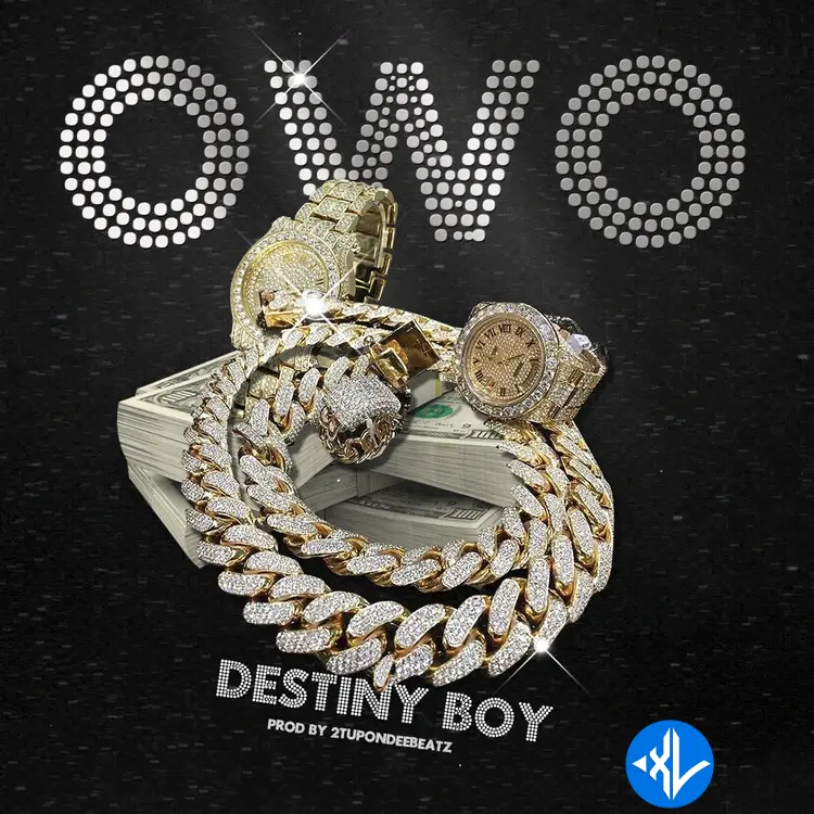Destiny Boy – OWO Cover Art