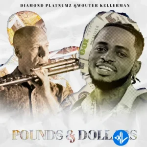 Diamond Platnumz – Pounds & Dollars ft. Wouter Kellerman MP3 Download