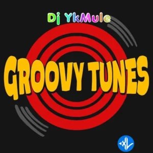 Dj Yk Mule – Groovy Tune MP3 Download