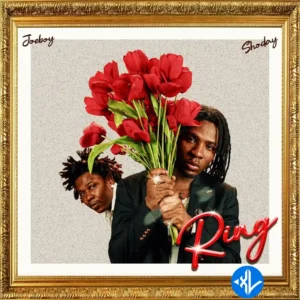Joeboy – Ring ft. Shoday MP3 Download