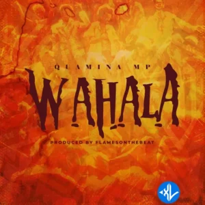 Quamina Mp – Wahala MP3 Download