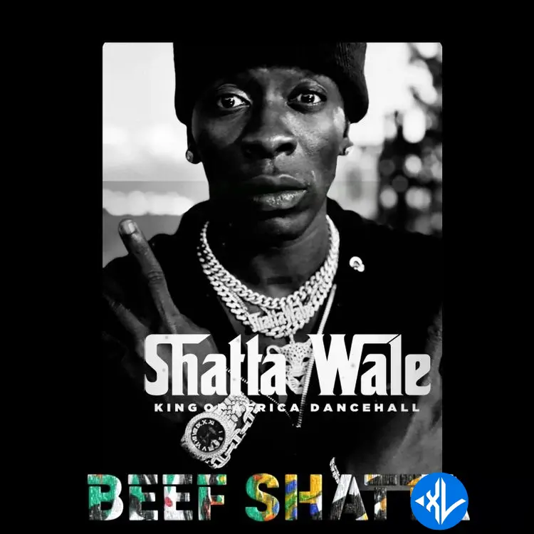 Shatta Wale – Beef Shatta Cover Art