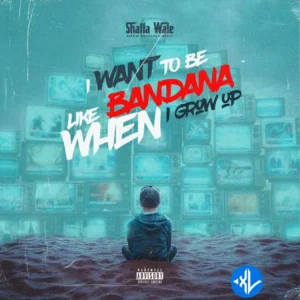 Shatta Wale – I Want To Be Like Bandana MP3 Download