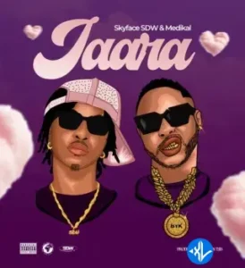 Skyface SDW – Jaara Ft Medikal MP3 Download