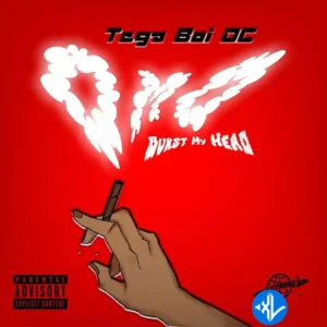 Tega boi dc – Omo (Burst My Head) MP3 Download