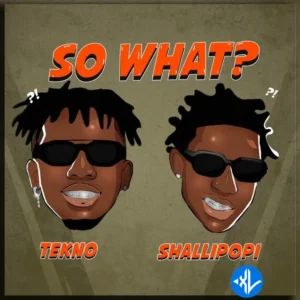Tekno – So What? ft. Shallipopi MP3 Download