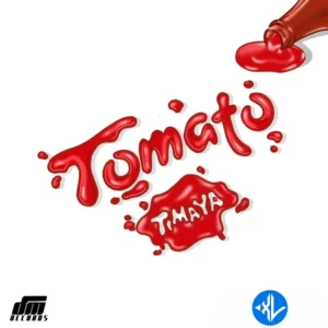 Timaya – Tomato MP3 Download