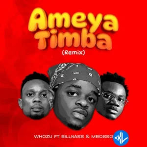 Whozu – Ameyatimba (Remix) ft. Billnass & Mbosso MP3 Download
