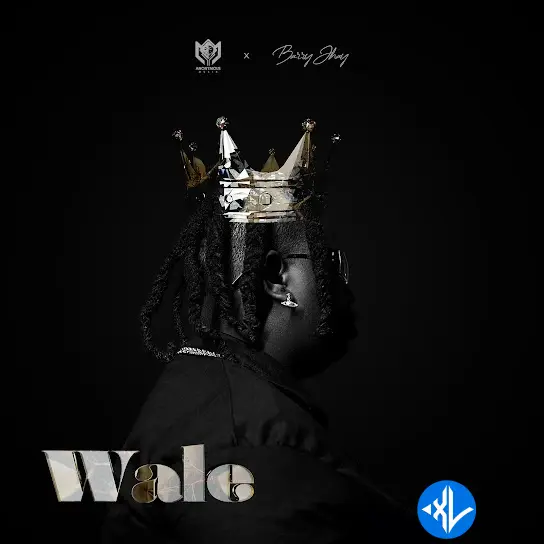 Anonymous Music – Wale ft. Barry Jhay Cover Art