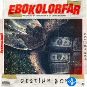 Destiny Boy – Ebokolorfar