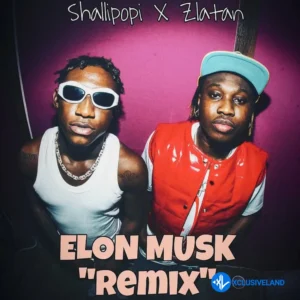 Shallipopi – Elon Musk (Remix) ft. Zlatan