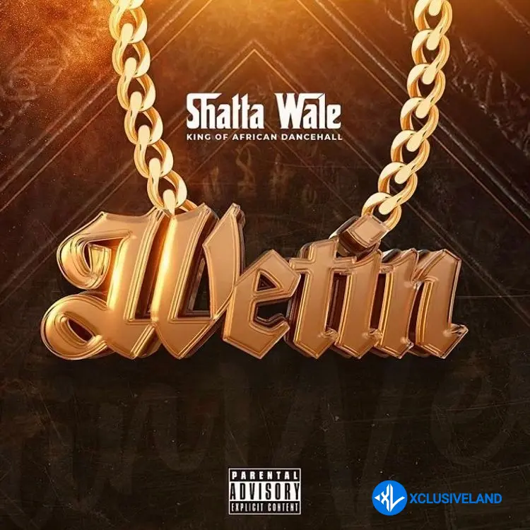 Shatta Wale – Wetin Cover Art