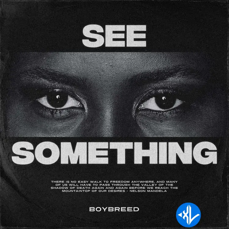 See Something