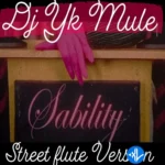 Sability (Street Flute Version)