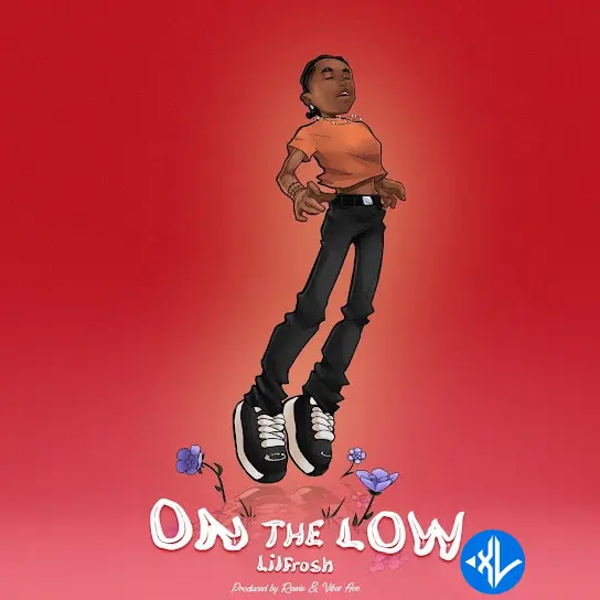 Lil Frosh – On The Low Cover Art