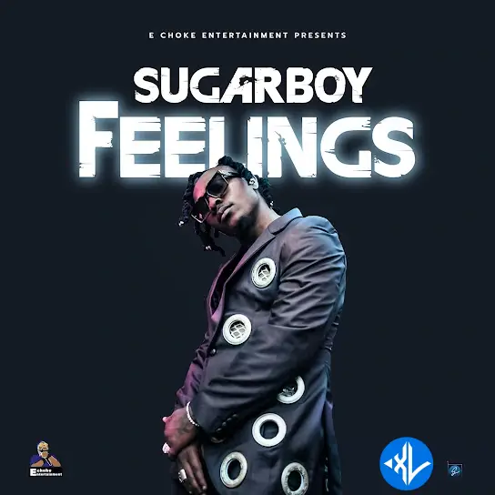 Sugarboy – Feelings Cover Art