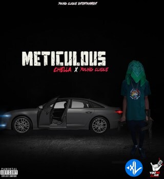Meticulous