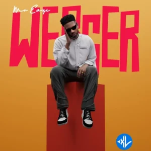 Mr Eazi – Werser
