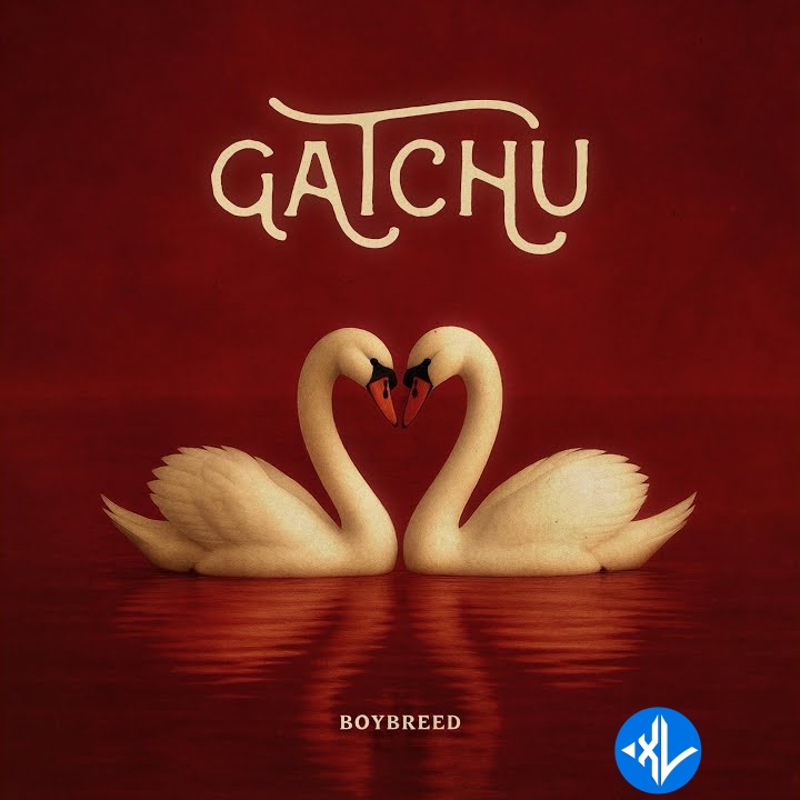 GATCHU by Boybreed Mp3 Download